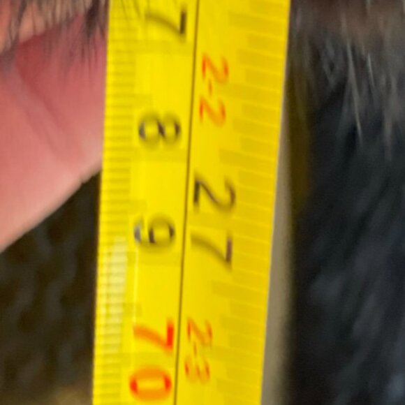 Mink Full length Real Mink - Picture 13 of 16